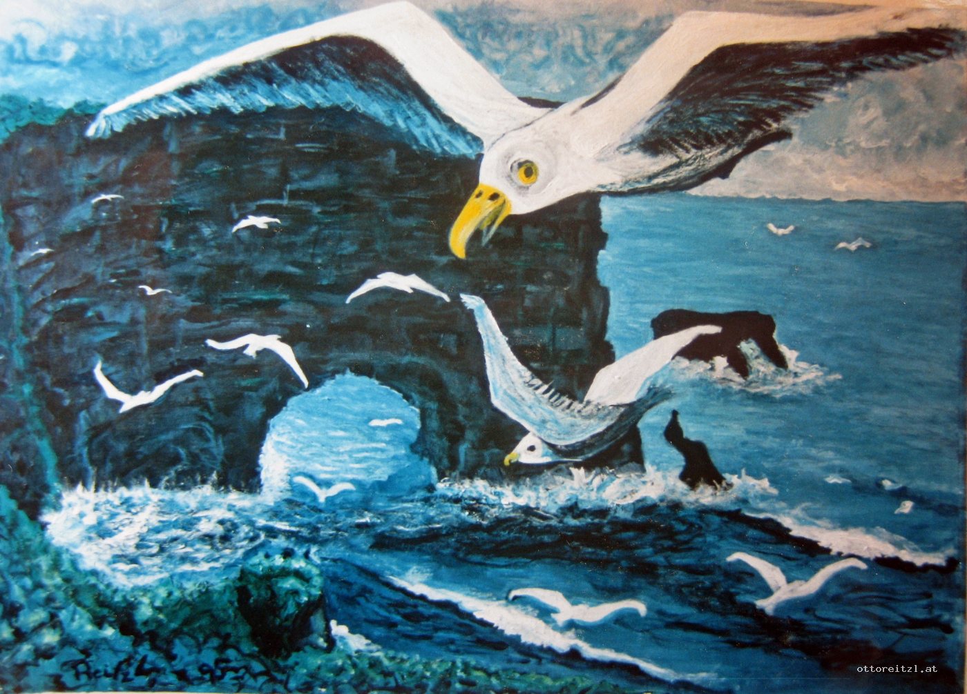 Vogelfelsen /Island 1